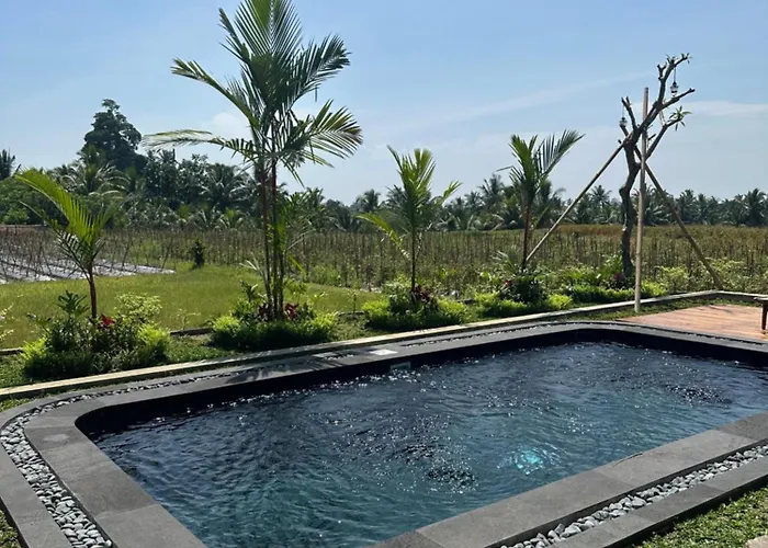 فيلة Joyluck Royal Private Ubud Rice Field View
