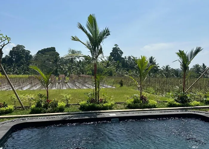 Joyluck Royal Private Ubud Rice Field View